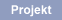Projekt
