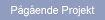 P�g�ende Projekt