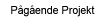P�g�ende Projekt
